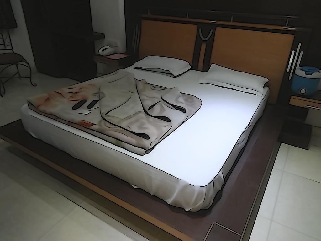 ניו דלהי Adb Rooms Hotel Indo Continental מראה חיצוני תמונה